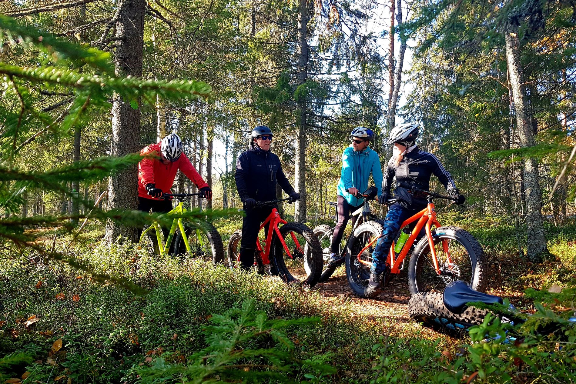 Maastopyöräilijöitä metsässä.