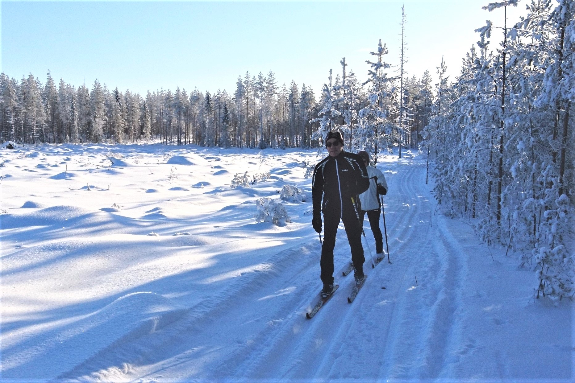 Hiihtäjiä metsäaukealla.