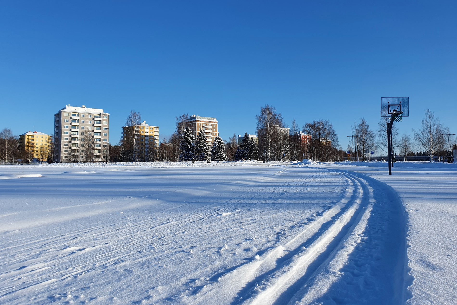 Hiihtolatu kaupungissa.