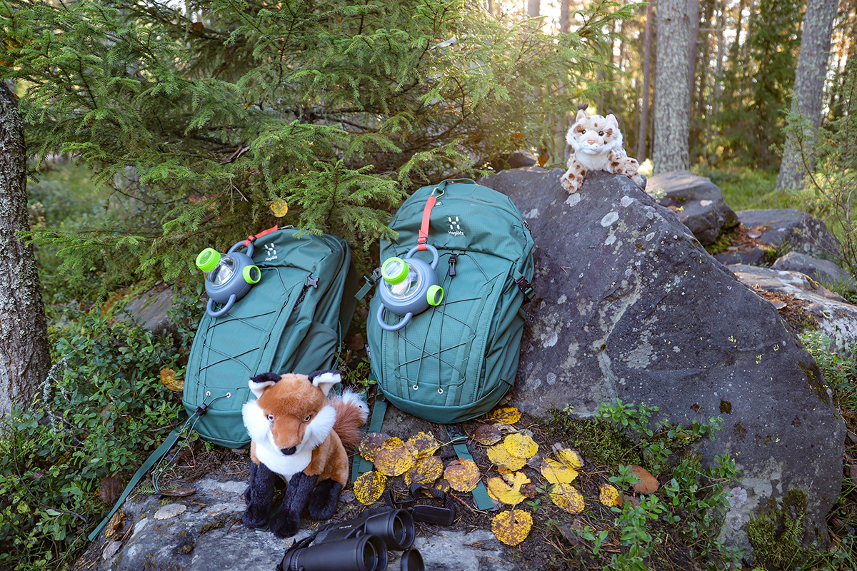 Lasten reppuja Huutilammen luontopolun varrella.