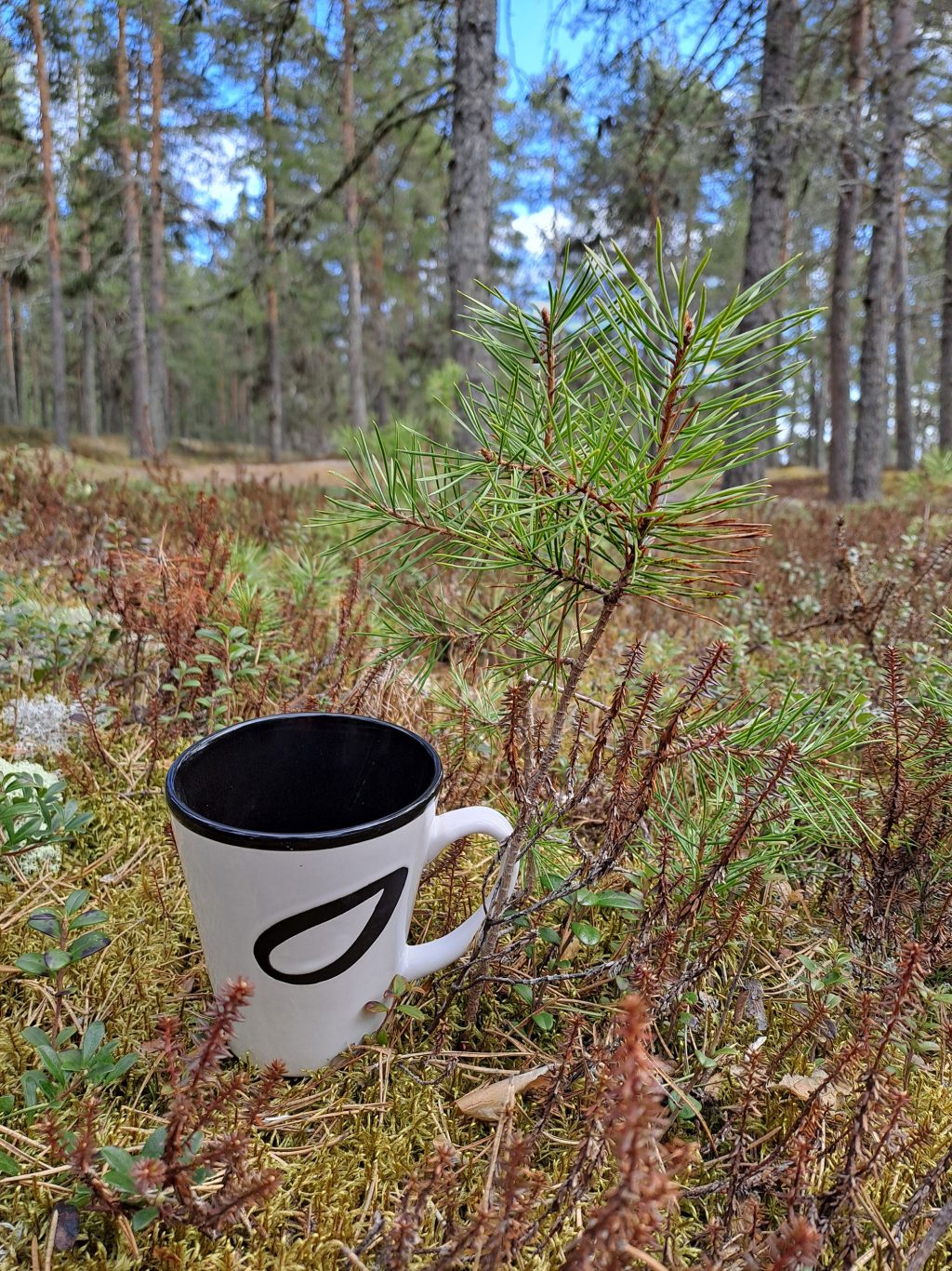 kahvikuppi mättäällä