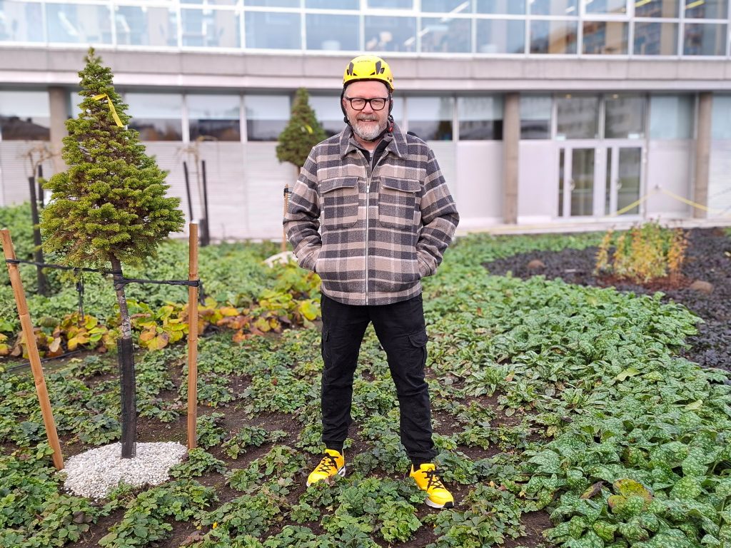 Mies seisoo kasvi-istutusten keskellä.