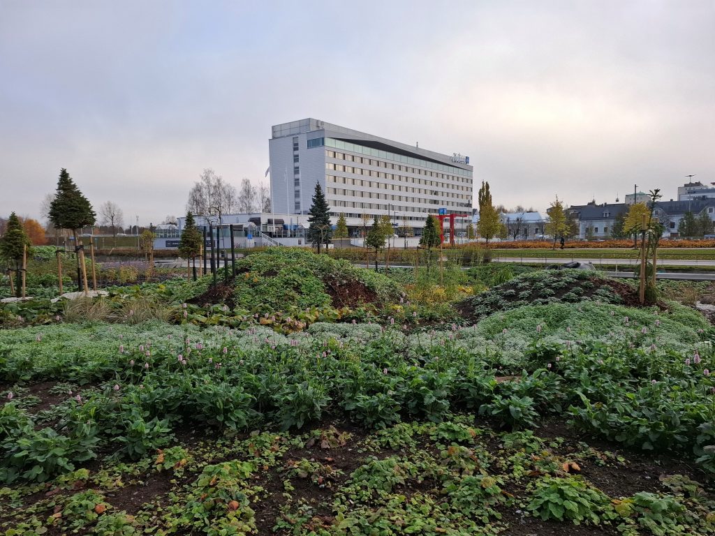 Kasvitaideteos, taustalla näkyy hotellirakennus.