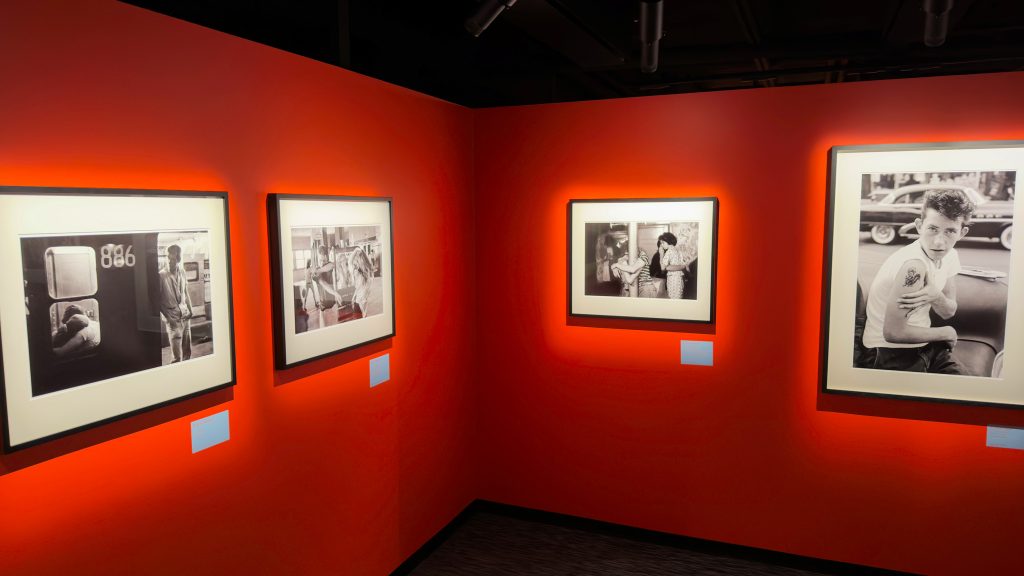 Valokuvateoksia punaisella seinällä