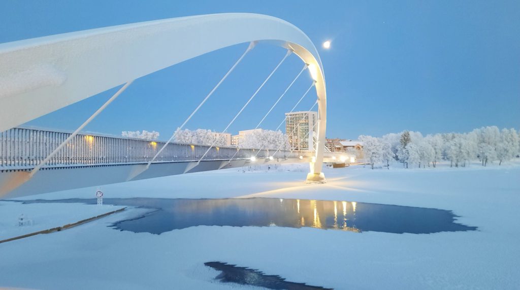 8. Suzy McAnsh, ei paikkaa