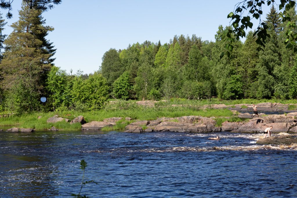 Poikia uimassa koskimaisemassa, yksi hyppää veteen.